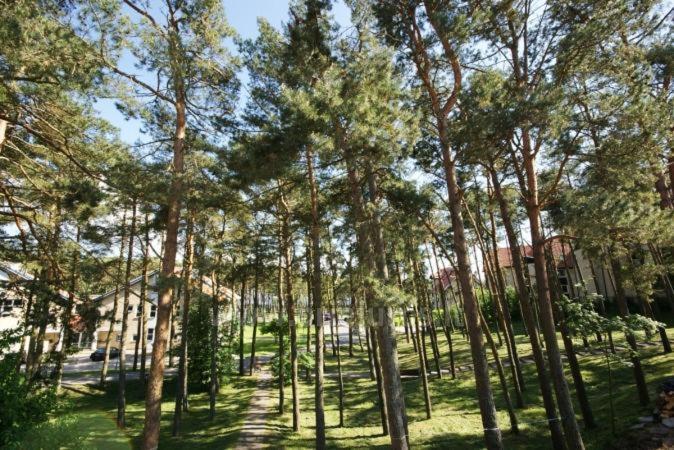 Апартаменти Kotedzas-Irena Ніда Екстер'єр фото